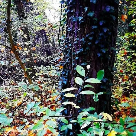 Romantikferienhaus Am Schloesschen - Sauna, Kamin & Seenlandschaft Nahe Berlin 펜션 *