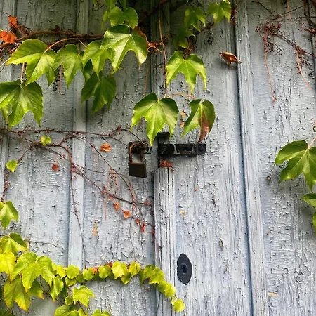 Romantikferienhaus Am Schloesschen - Sauna, Kamin & Seenlandschaft Nahe Berlin *