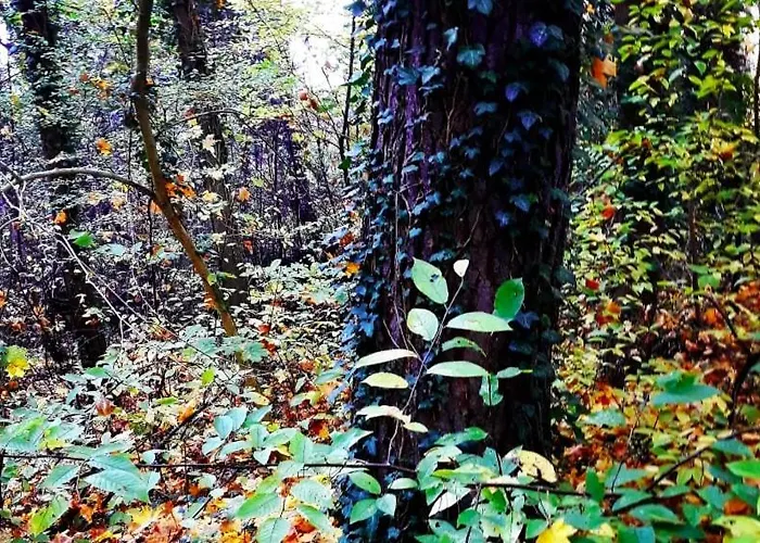 Romantikferienhaus Am Schloesschen - Sauna, Kamin & Seenlandschaft Nahe Berlin بيت للعطل *